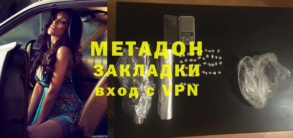индика Алексин