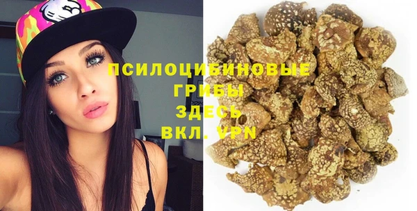 тгк Арсеньев
