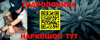 мяу мяу мука Канаш