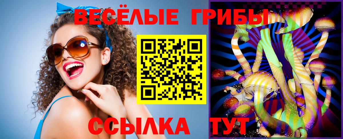 Шатура  Галлюциногенные грибы Cubensis  Псилоцибиновые грибы Magic Shrooms  Вход с VPN 