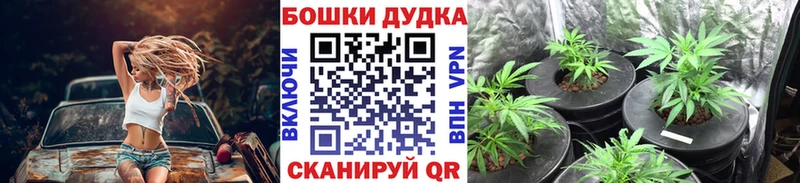 купить Шатура Бошки Шишки марихуана