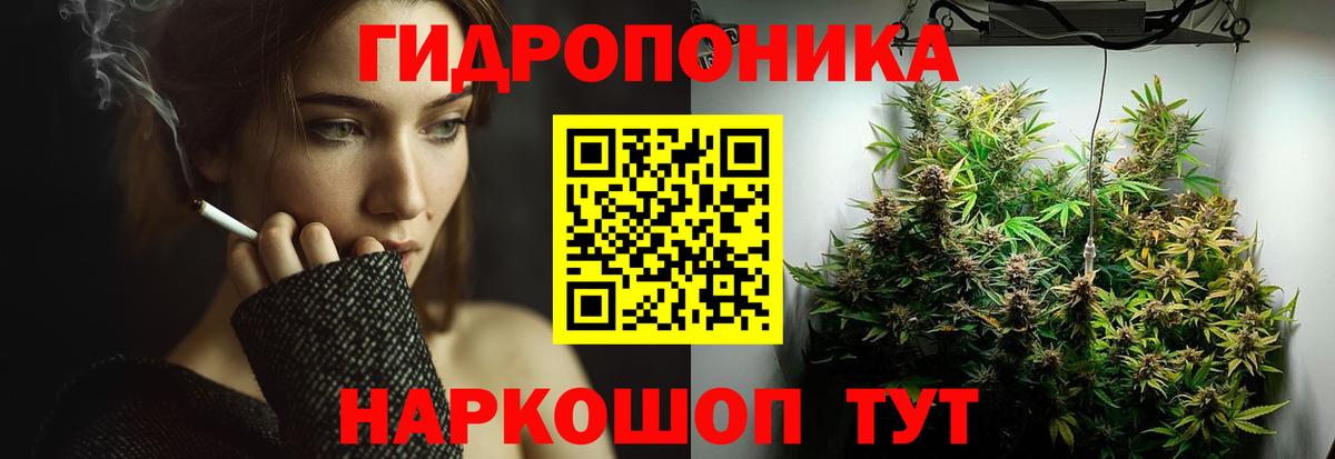 Марихуана OG Kush Шатура